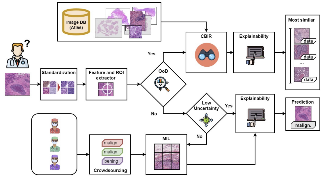 Project Graphical Abstract